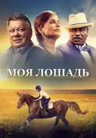  Моя лошадь смотреть онлайн (2016) 